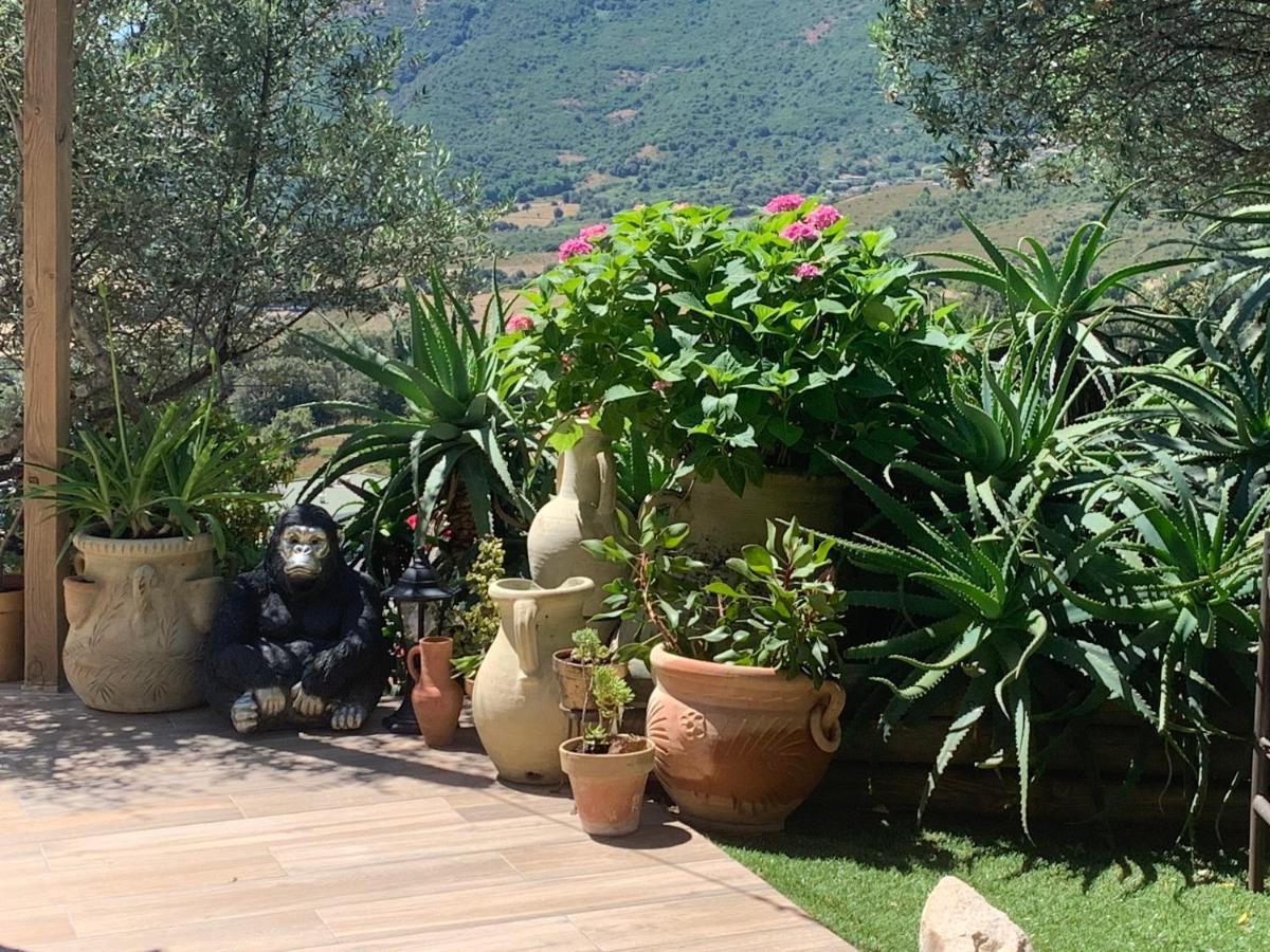 Residence Paradisu Ajaccio Appietto Buitenkant foto