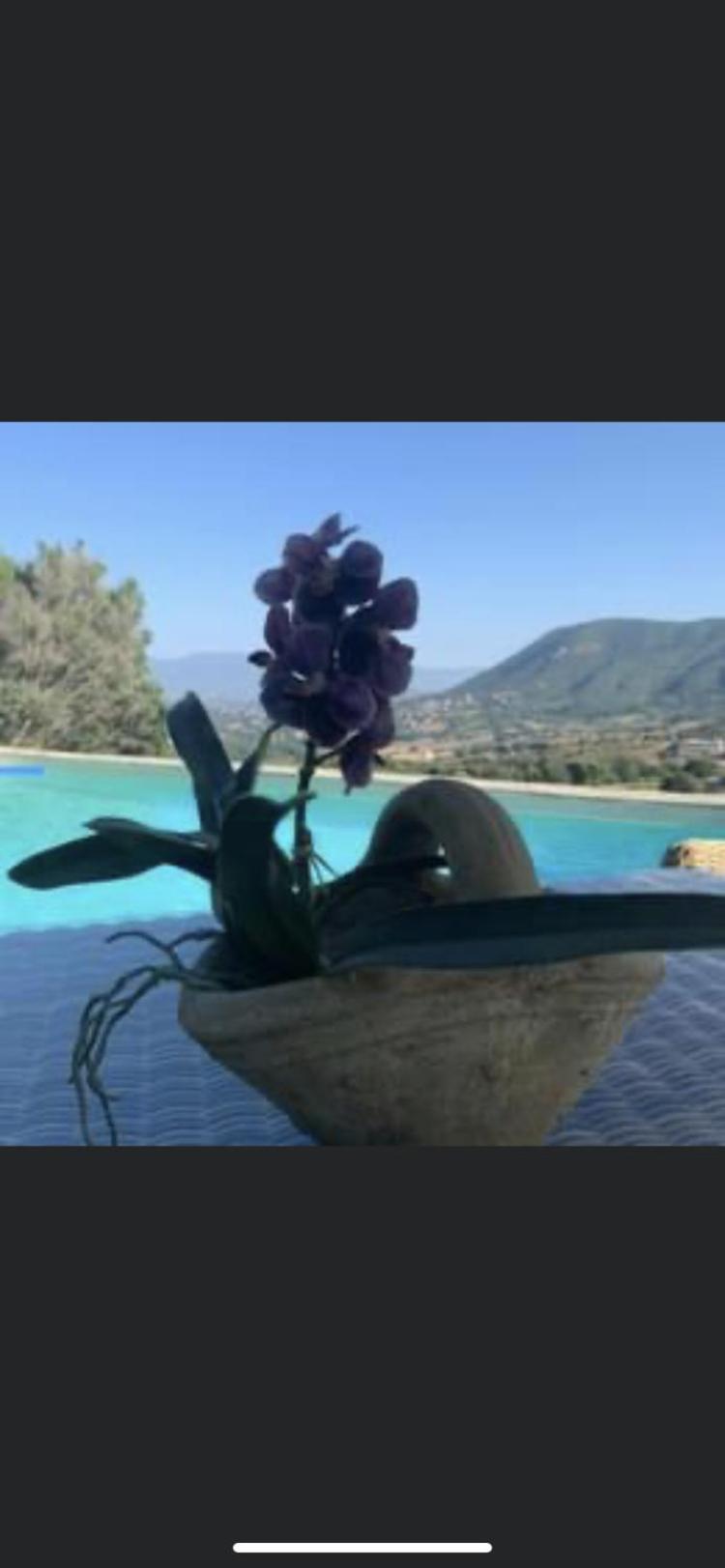 Residence Paradisu Ajaccio Appietto Buitenkant foto