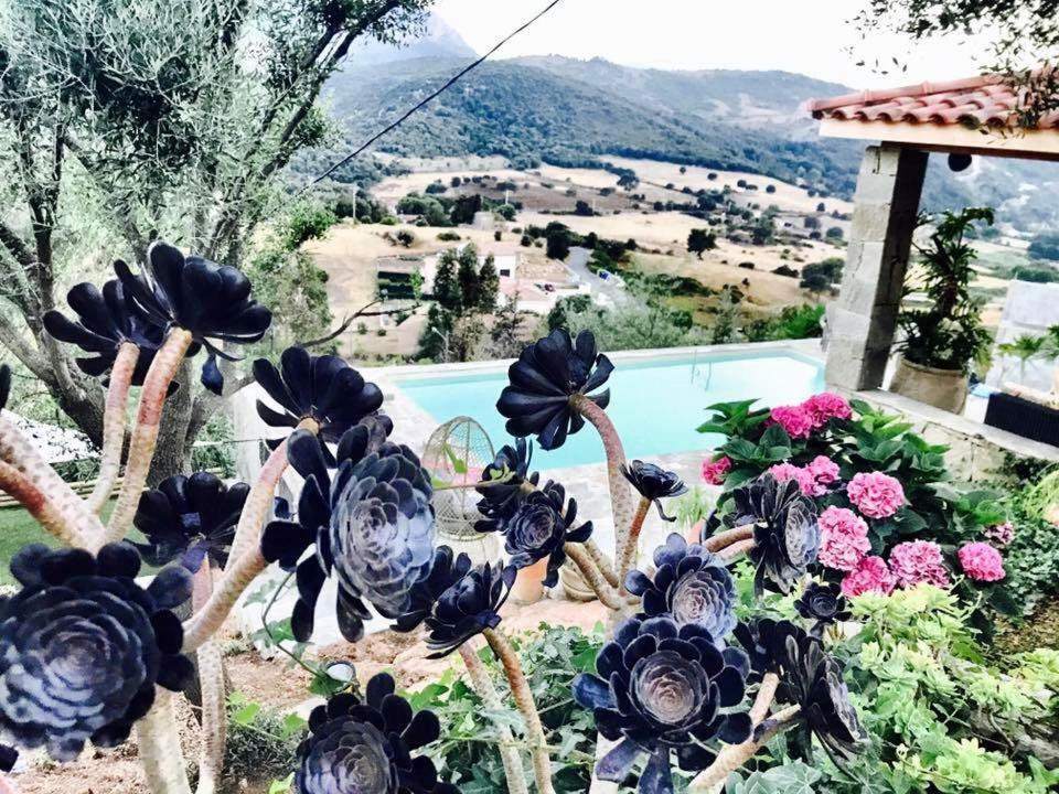Residence Paradisu Ajaccio Appietto Buitenkant foto