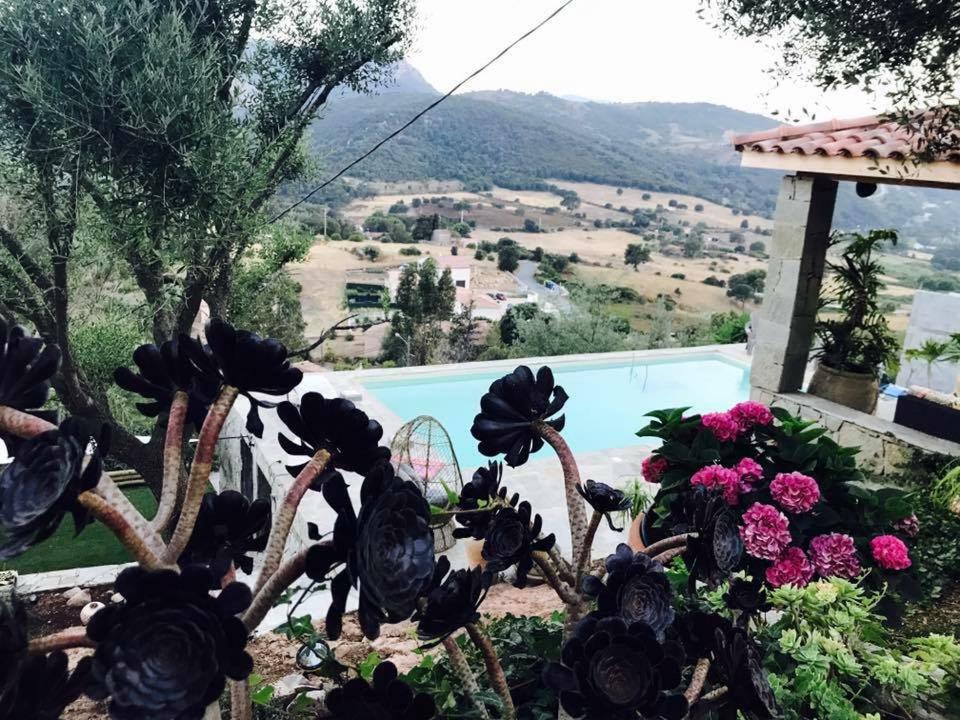Residence Paradisu Ajaccio Appietto Buitenkant foto